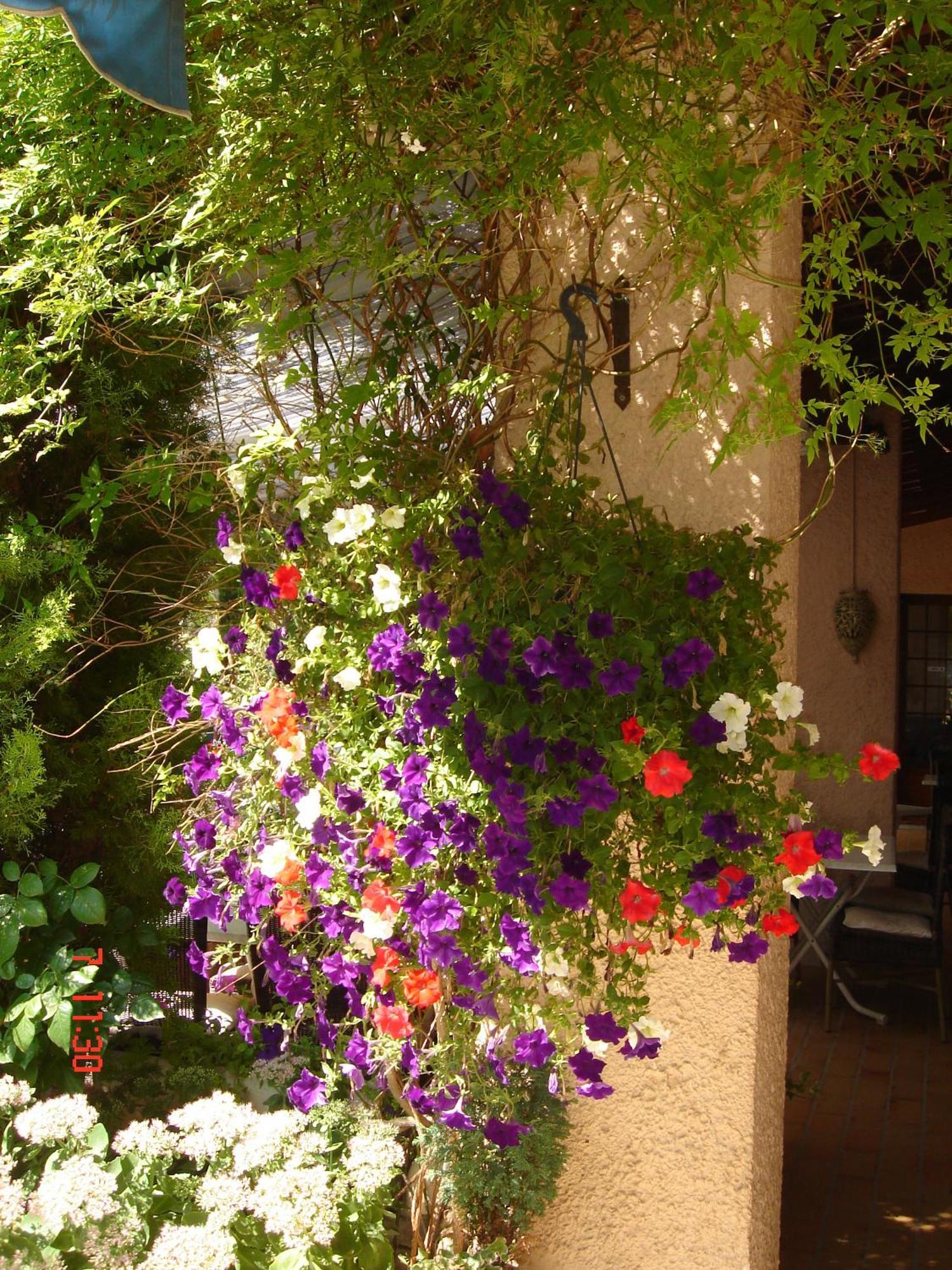 Mistral Mas-Blanc-des-Alpilles